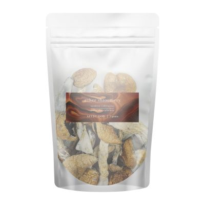 Aztec God